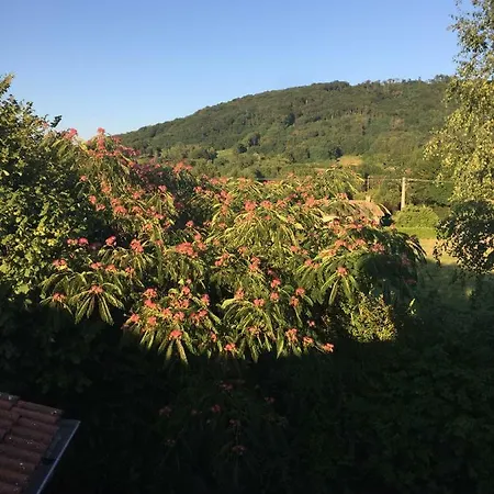 Gites Bresse Detente